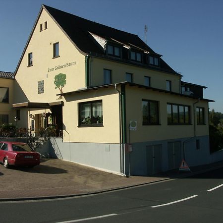 Restaurant Gruener Baum Hotel Leidersbach Екстериор снимка