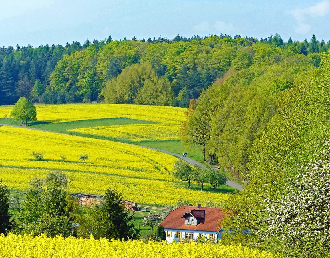 Restaurant Gruener Baum Hotel Leidersbach Екстериор снимка