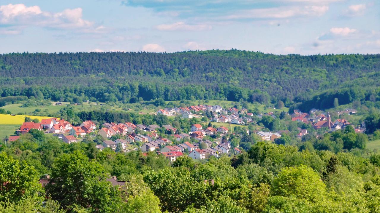 Restaurant Gruener Baum Hotel Leidersbach Екстериор снимка